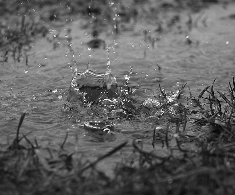drop-bw-web.jpg