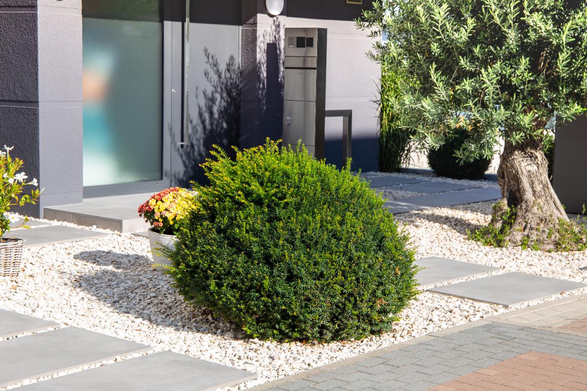 Hageplanlegging - viktige elementer for en vellykket utsmykning