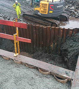 Rørspunt Lagunen Bergen