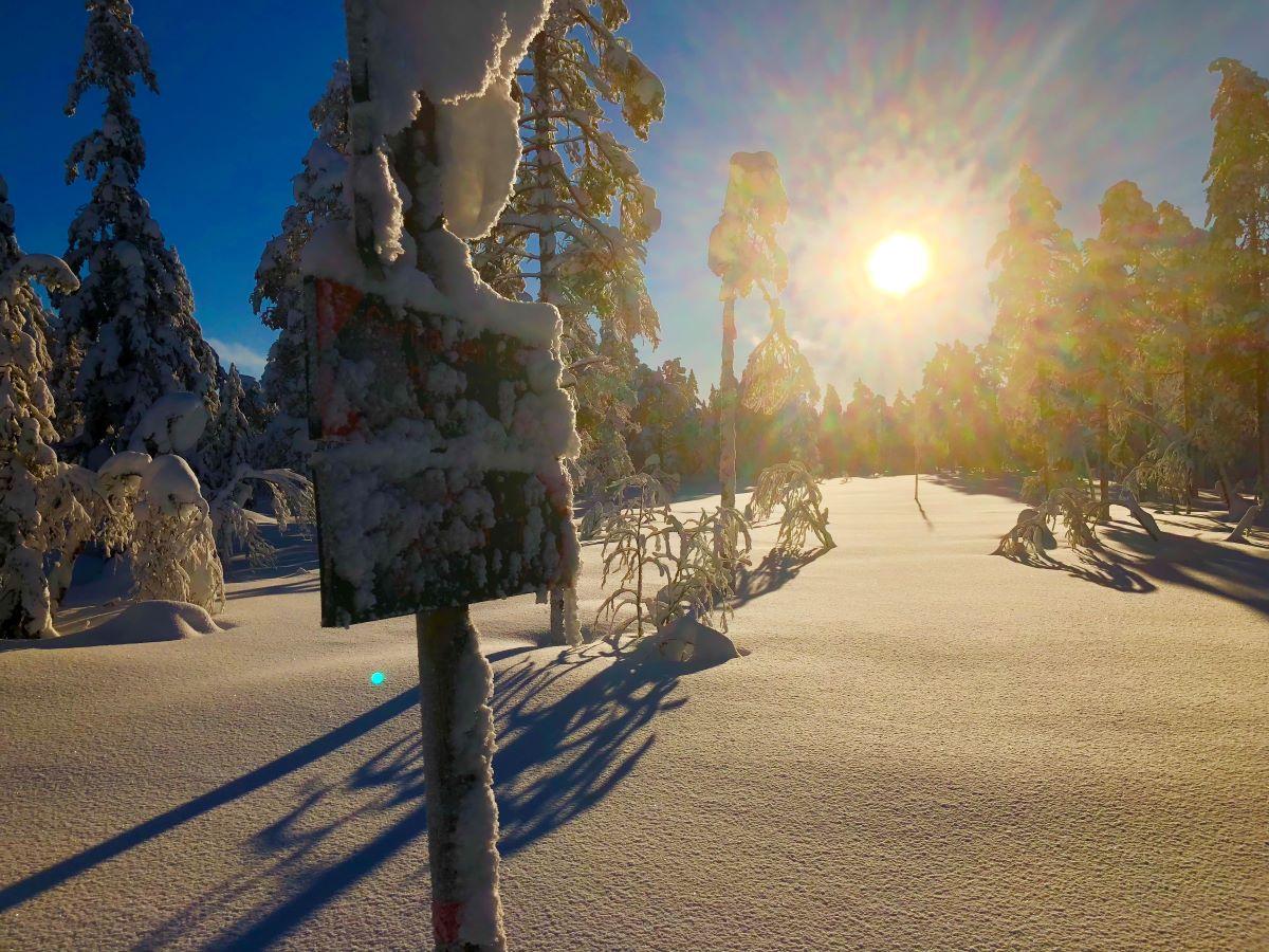 Bruk snøen - grip mulighetene - headerbilde