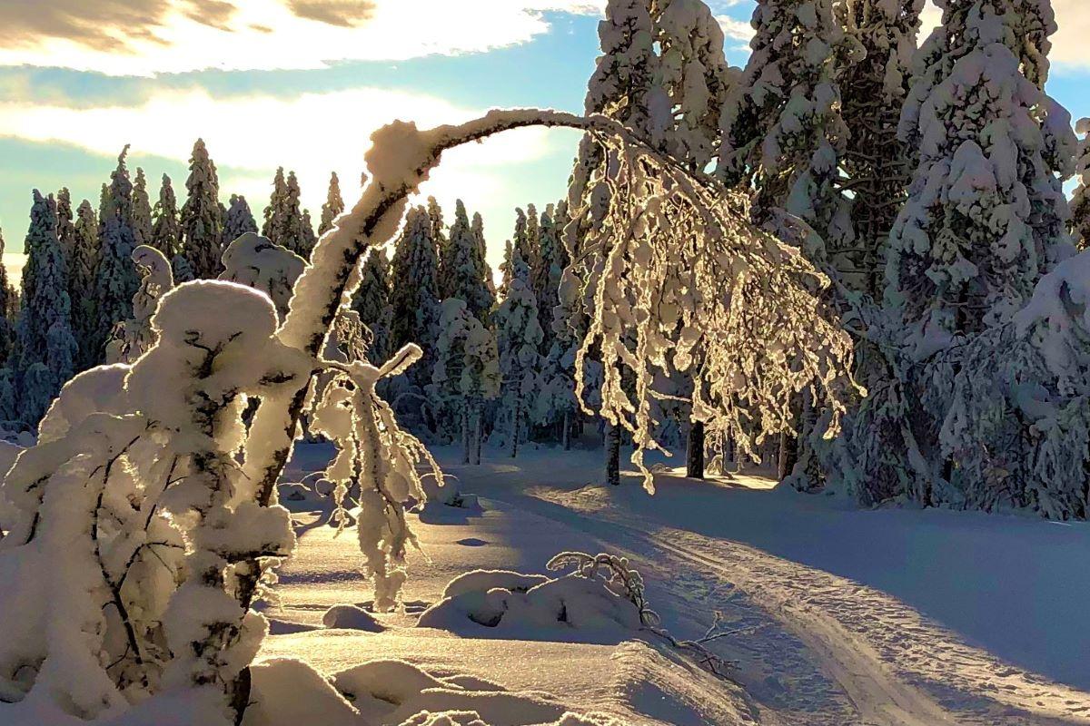 Naturen er fortsatt åpen - headerbilde