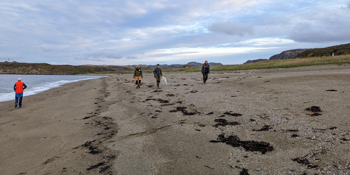 strandrydding med Russland som bakteppe karusell 2600x1300.jpg