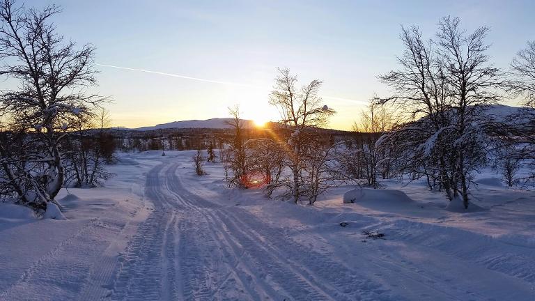 God jul og godt nytt 2026!