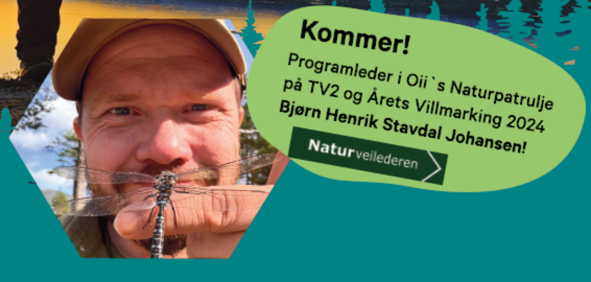 Bjørn.png
