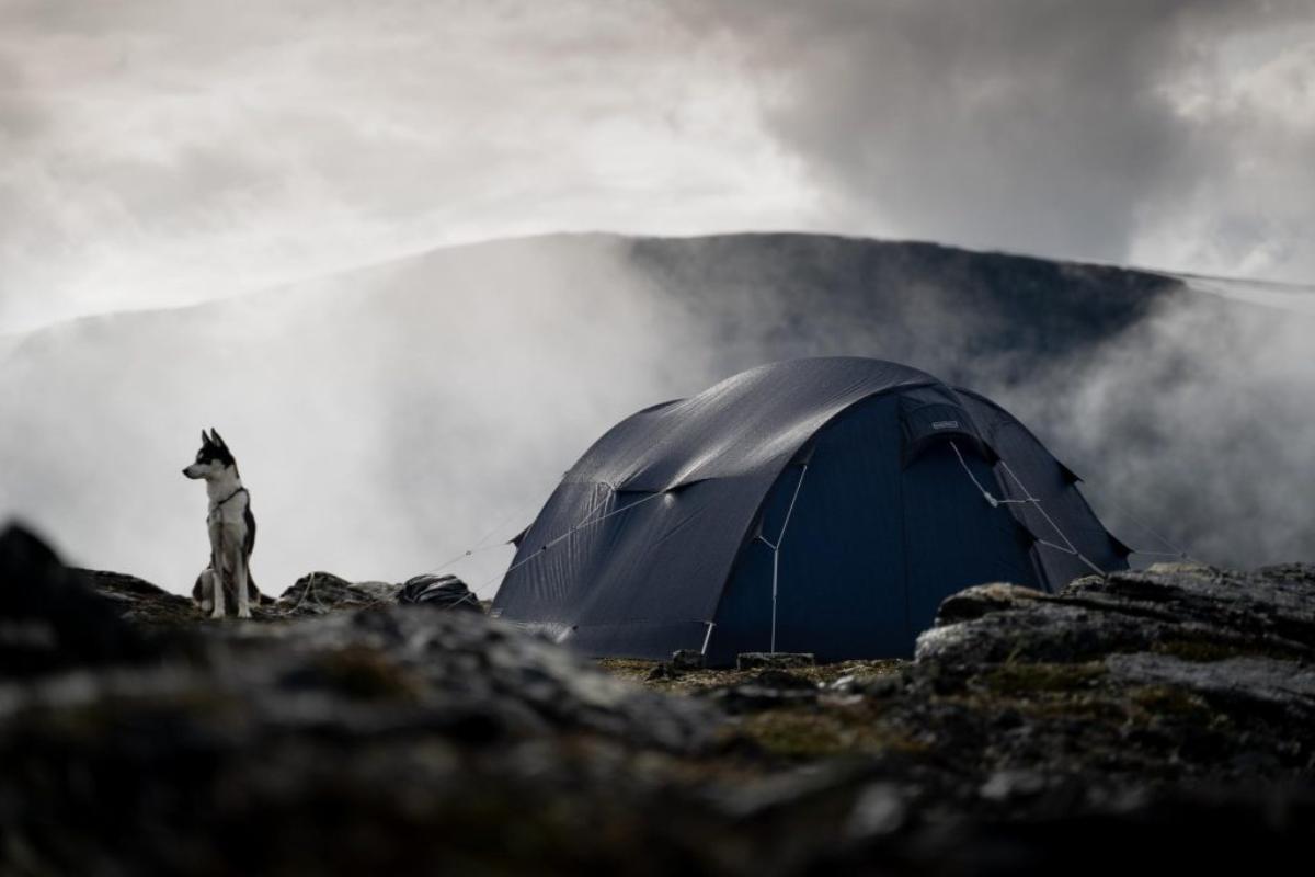 Høstens teltjakt er i gang! - headerbilde