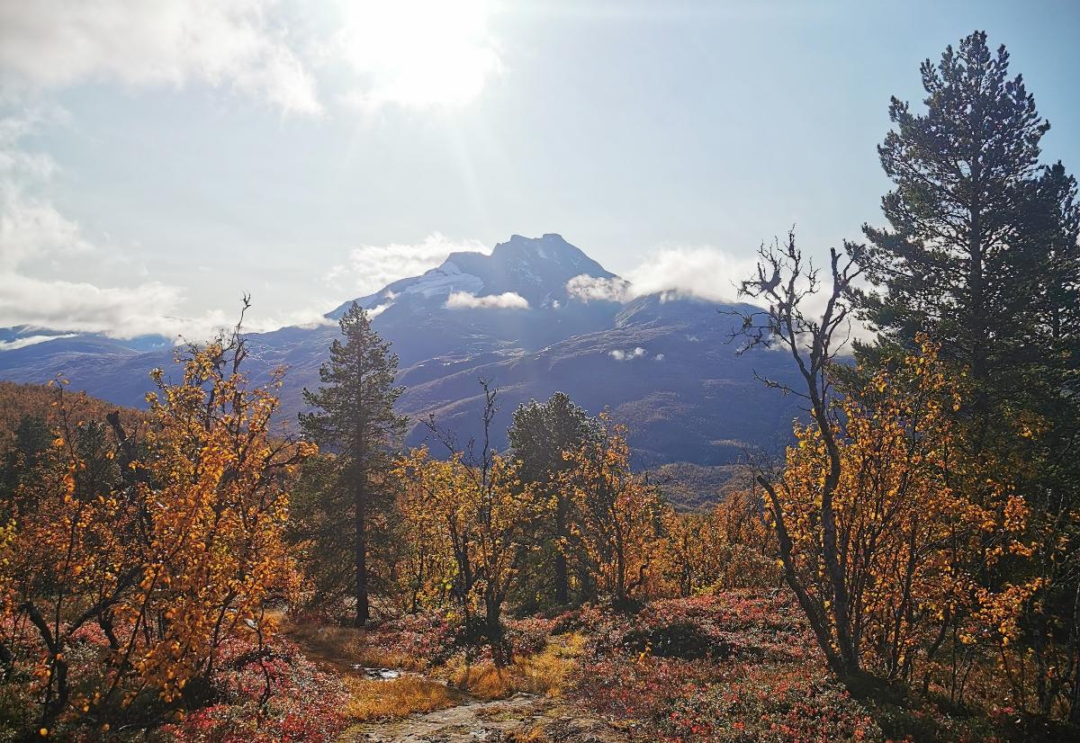 Oppstartsmelding plan for friluftslivets ferdelsårer Narvik kommune.  - headerbilde