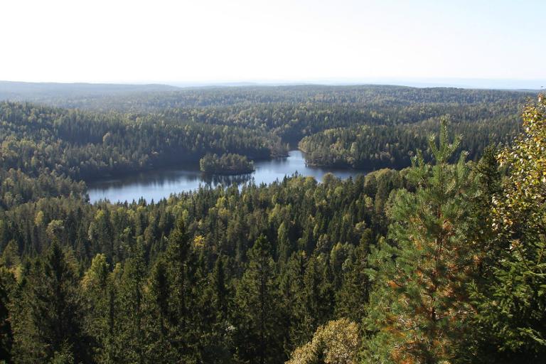 Informasjonsside om verneplan for Østmarka Nasjonalpark