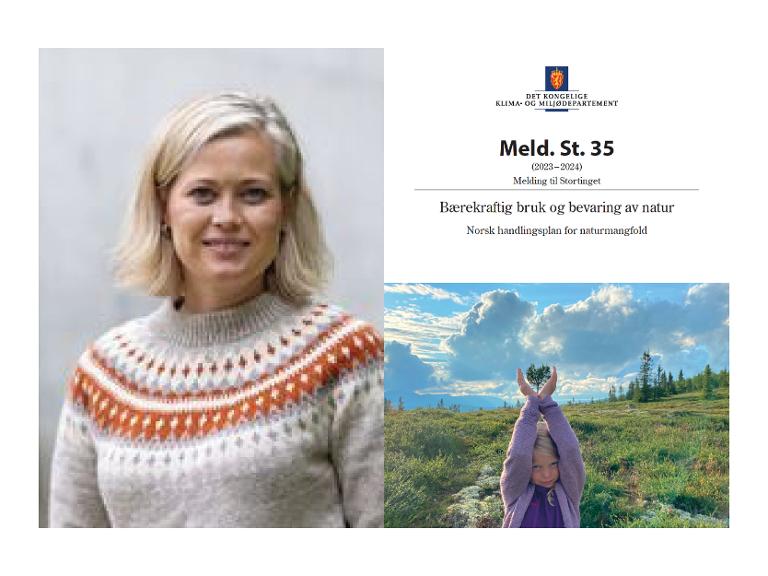 Teamsmøte: Norsk handlingsplan for naturmangfold