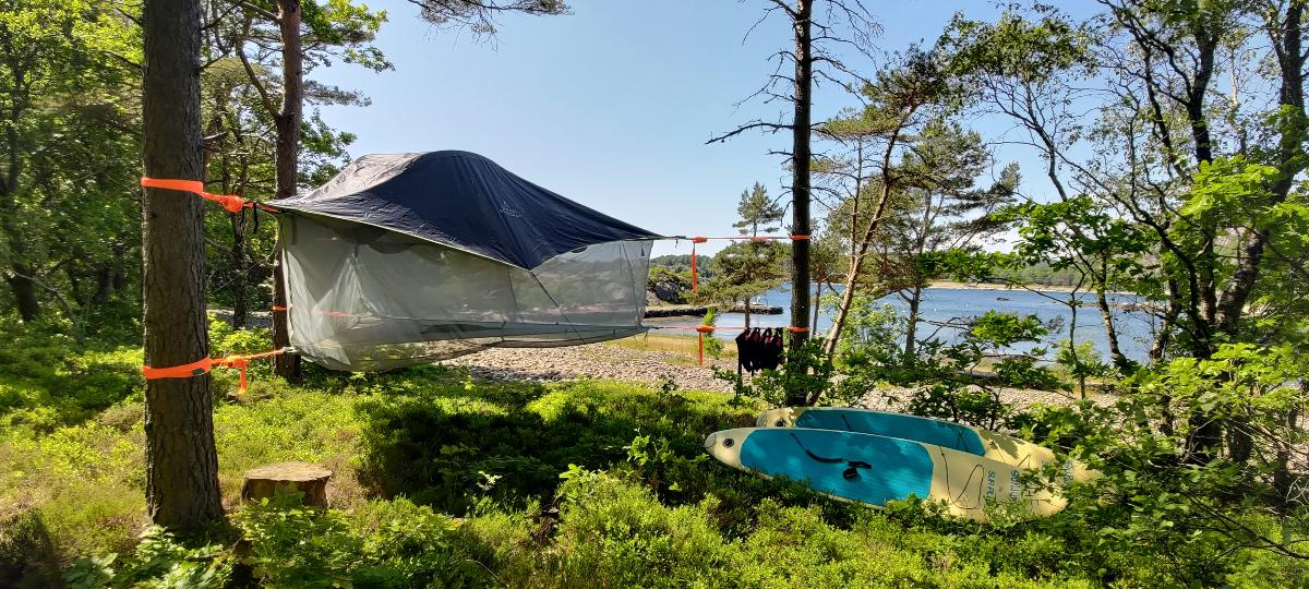 P_20230610_144205.jpg