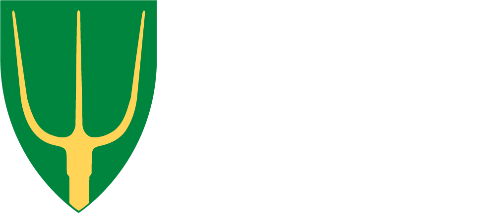 ralingen_hovedlogo_NEGATIV.png