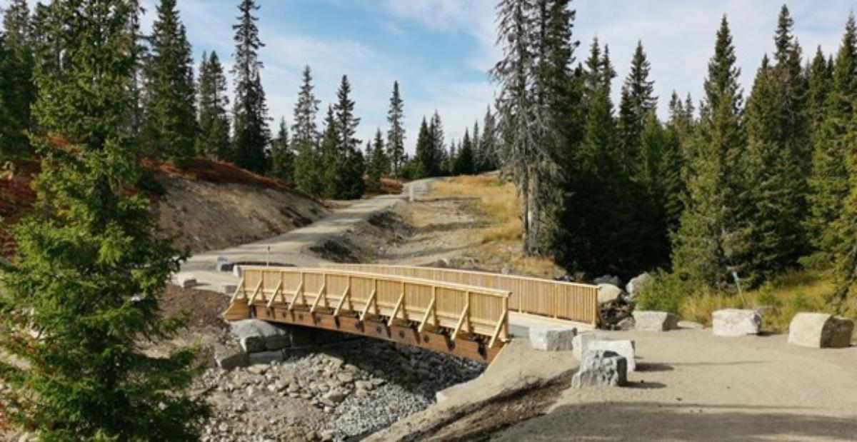 Bru over Tyria (002) (1).jpg