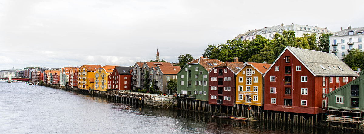 pexels-jedrzej-koralewski-14125120-18976423-cut.jpg