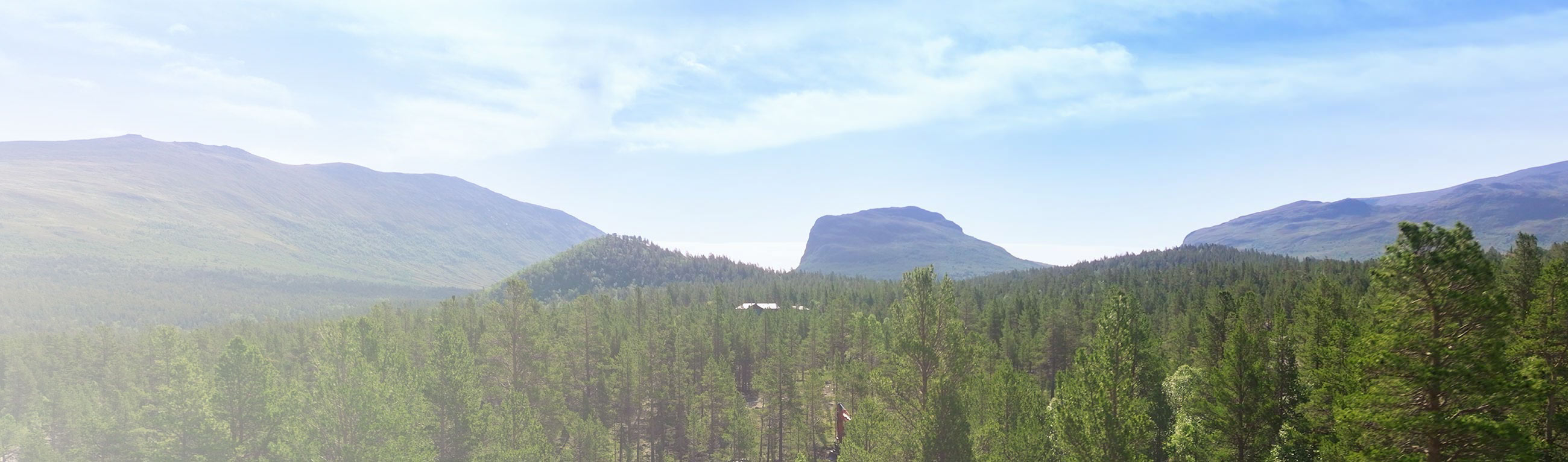 skog og fjell