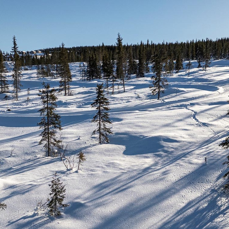 DJI_20250212125648_0111_D (1).jpg