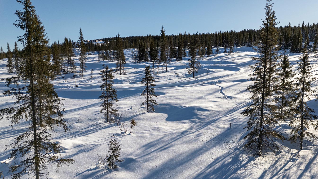 Utsikt over snølagt landskap