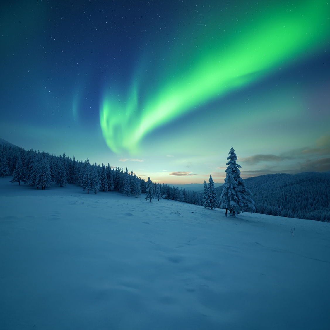 GettyImages-2191397339 (1).jpg