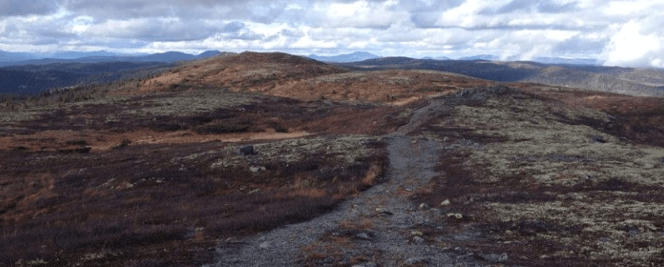 Fotturer og fjellturer i Valdres