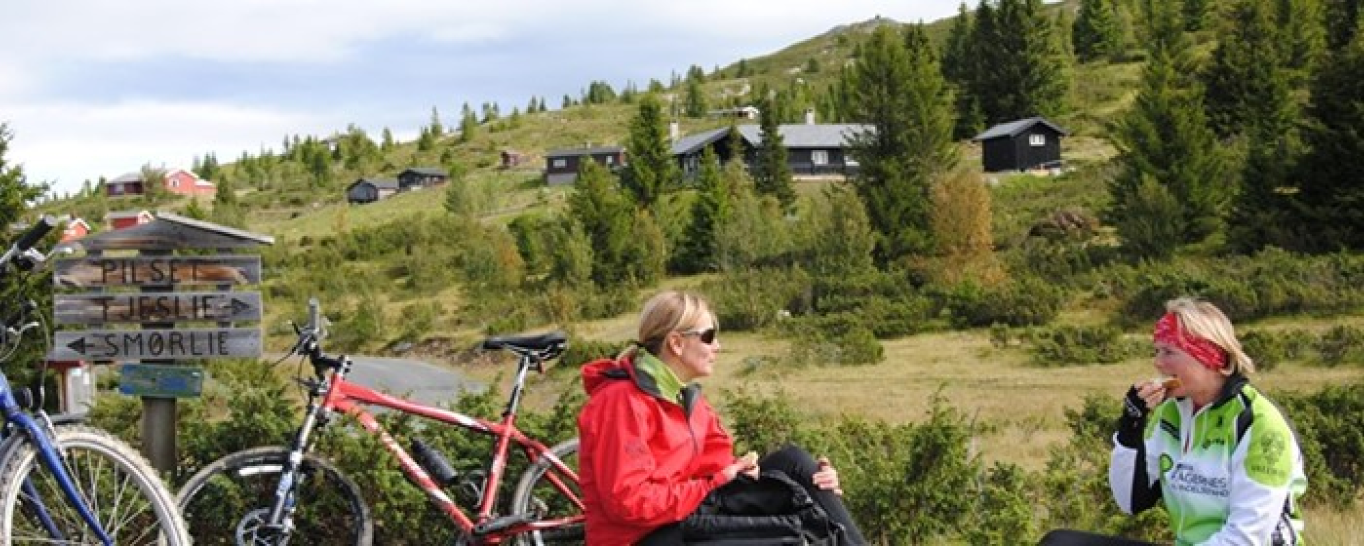 Sykling i Valdres